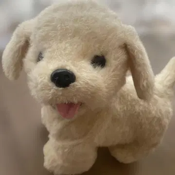 방가방가 멍멍이 리트리버 로봇 토이