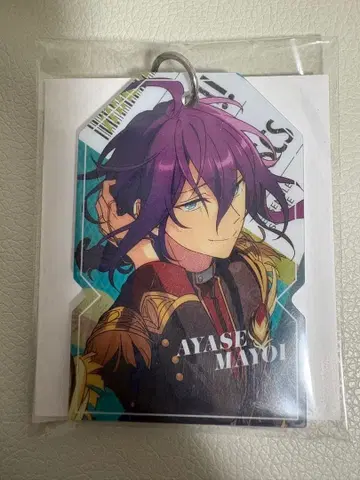 앙스타 TRIP 러기지 참 마요이