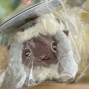 포켓몬 센터 한정판 울 봉제 인형 키링 부활절 새상품