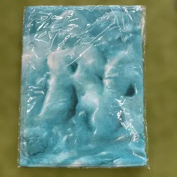 RADWIMPS 2025 SUMMER 롱 페이스 타월