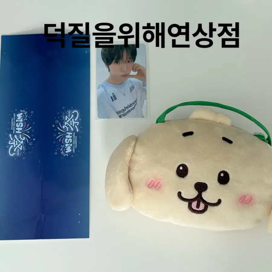 Nct wish Daengtriver Bag Login Character Bag Jaehee Kim Daeyeong