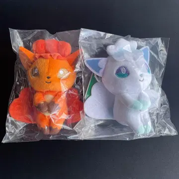 식스테일 알로라 식스테일 춋코리상 봉제 인형 미개봉 새상품 포켓몬