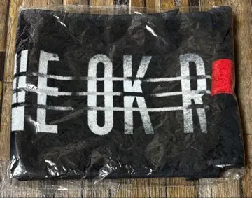 [ 레어 ] 원오크 ONE OK ROCK 나기사엔 타월