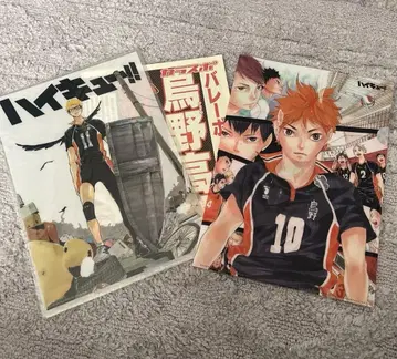 하이큐!! 클리어 파일 츠키시마 카라스포