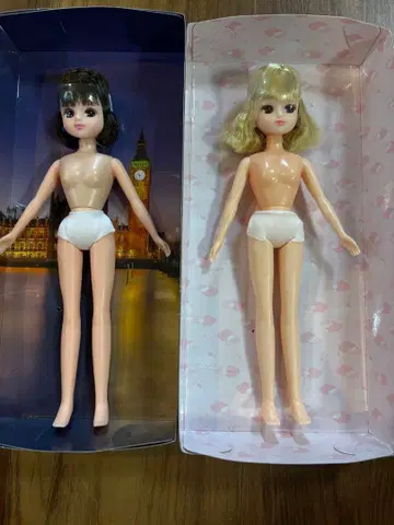 새상품 리카짱 숏 헤어 블랙 헤어 스미코구라시