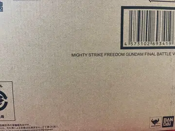 METAL ROBOT혼 마이티 스트라이크 프리덤 건담 최종 결전