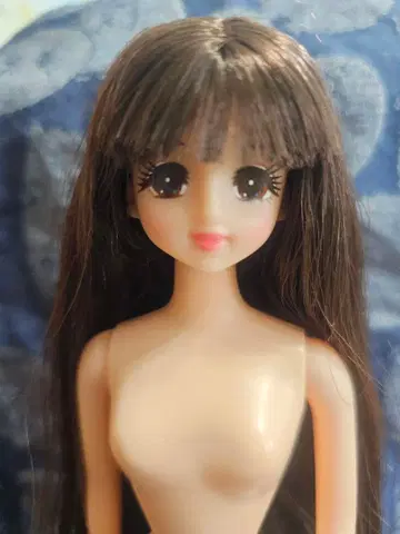 리카짱 캐슬 제니