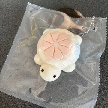 점점 스퀴즈 거북이