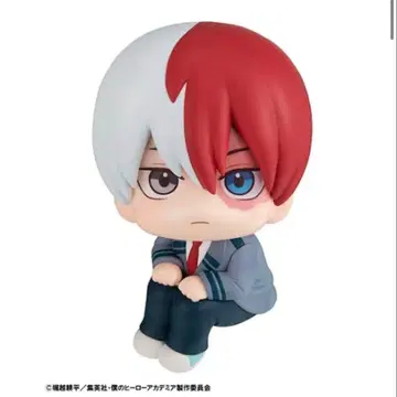 히로아카 토도로키 쇼토 룩업