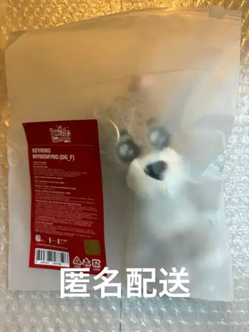 BOYNEXTDOOR X BBNEXDO 명명 재현 키링