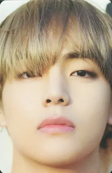 BTS D'/ICON V 트레이딩 카드 9/14