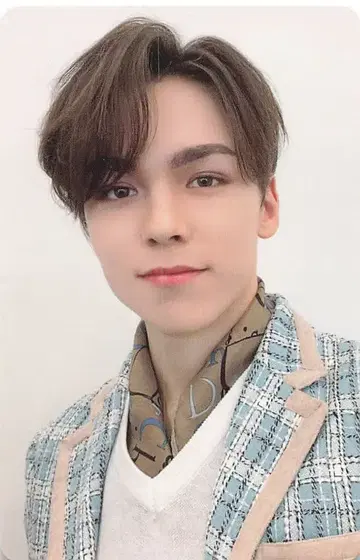 SEVENTEEN 히토리쟈나이 VERNON 트레이딩 카드
