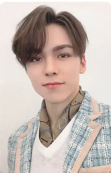 SEVENTEEN 히토리쟈나이 VERNON 트레이딩 카드