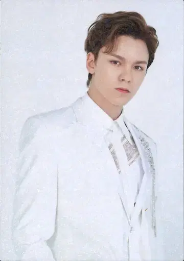SEVENTEEN 2020 SVT VERNON 트레이딩 카드 0020