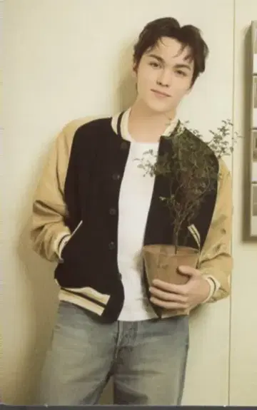 SEVENTEEN VERNON 2024 CARAT LAND 59/87