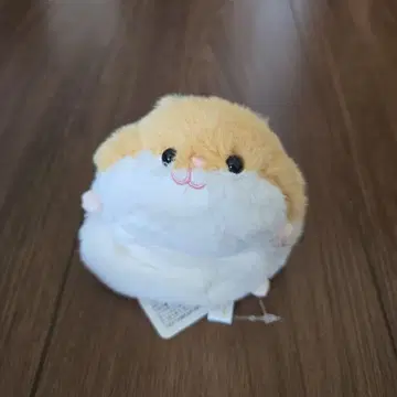 축 늘어뜨린 햄스터