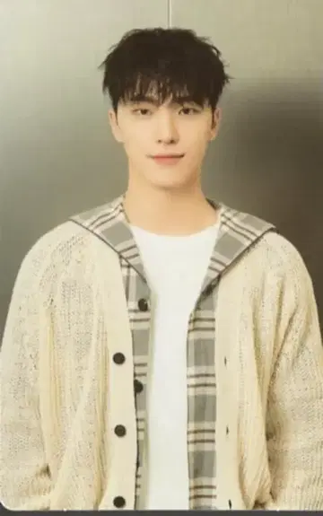 SEVENTEEN DINO 2024 CARAT LAND 62/87