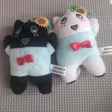 후낫시 화이트 고양이, 검은 고양이 마스코트