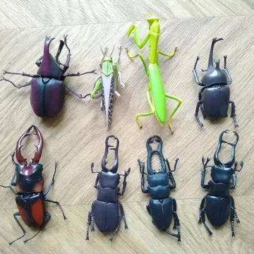 곤충 피규어 세트 8체