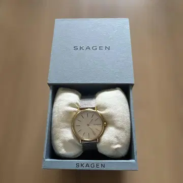 SKAGEN 스카겐 손목시계