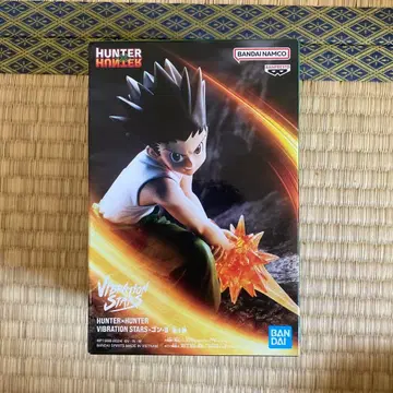 HUNTER x HUNTER Vibration Stars 곤