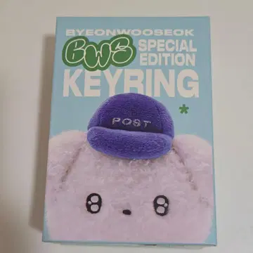 미개봉 새상품 BYEONWOOSEOK 키링 변우석