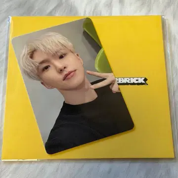 SEVENTEEN 세븐틴 호시 BE@RBRICK 베어브릭 트레이딩 카드