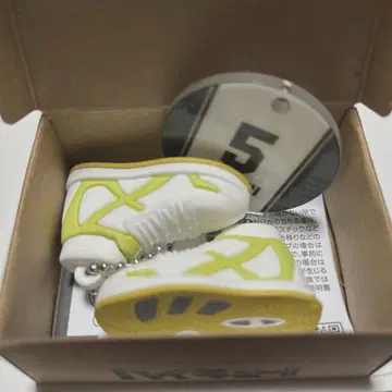 하이큐 아카아시 케이지 미니어처 신발 컬렉션