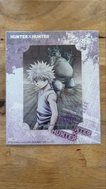HUNTER x HUNTER 키루아 브로마이드