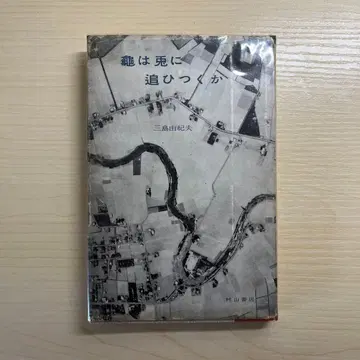 미시마 유키오 [ 거북이는 토끼를 따라잡을 수 있을까 ] 초판