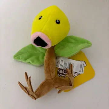 포켓몬 fit 마다투미