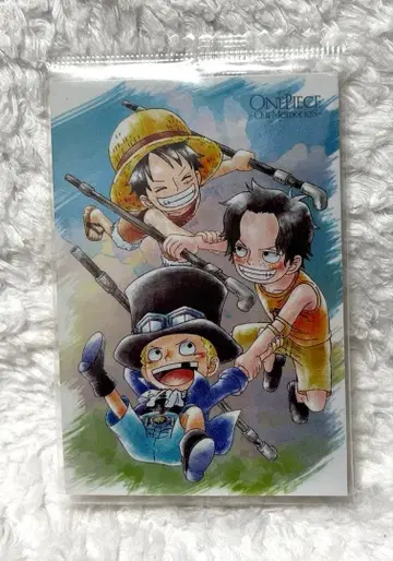 원피스 our memories 루피 사보 에이스 카드