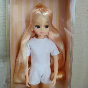 2023년 11월 셀렉션 모델 모델 No.13044 리카짱 캐슬