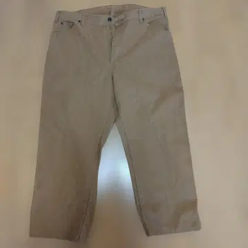 Dickies 덕 페인터 팬츠