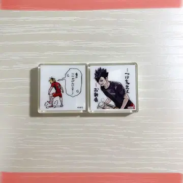 [ 가격 인하 중 ] 하이큐 아크릴 타일 점프giga 네코마 쿠로오 케마