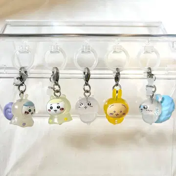 치이카와 (먼작귀) 메지루시 액세서리 5세트