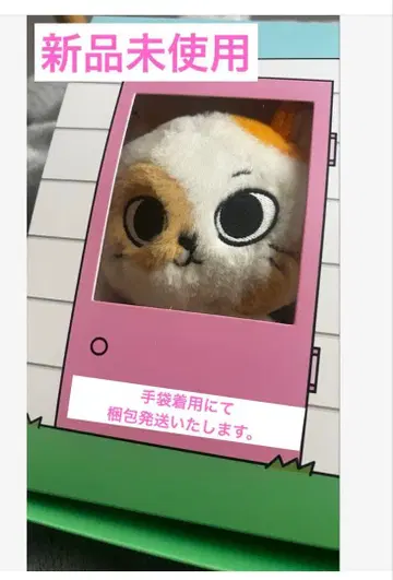 BOYNEXTDOOR BBNEXDO 푸넥도 키링 성호 챁피