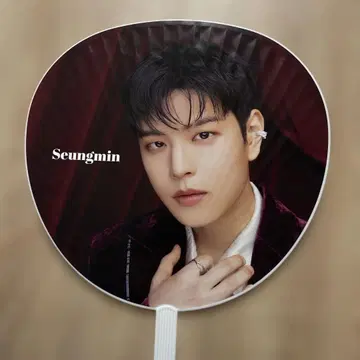 Stray Kids 승민 부채