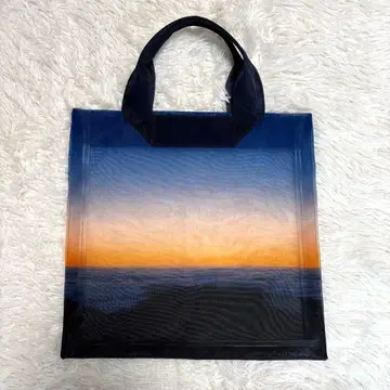 뷰티풀피플 메쉬 토트백