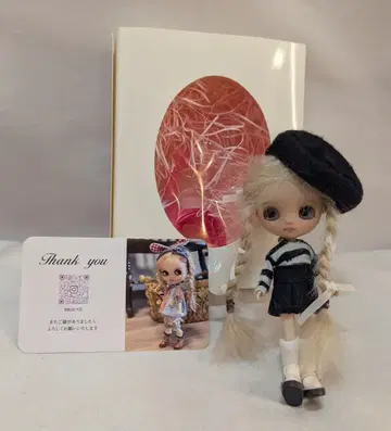 커스텀 미니 브라이스