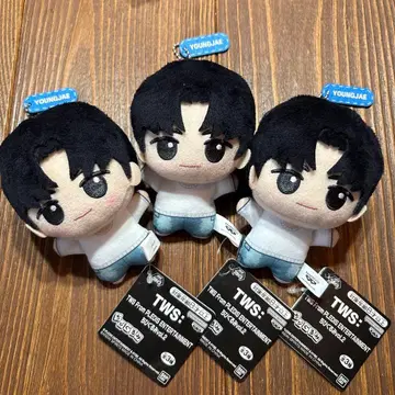 남코 한정판 TWS 투아스 SD 인형 영재 YONGJAE 3종 세트