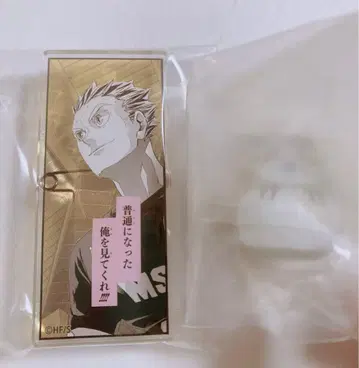 보쿠토 코타로 앉아 콩콩 2 보쿠토 올빼미 명언 아크릴 배지 2개