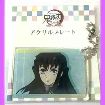귀멸의 칼날 토키토 무이치로 아크릴 플레이트 전집중전