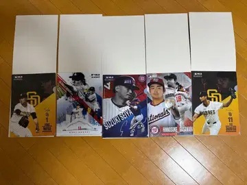 MLB 클리어 파일 컬렉션 5종류
