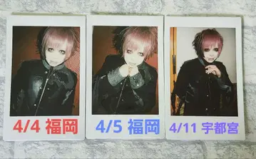 자아자아 폴라로이드 안