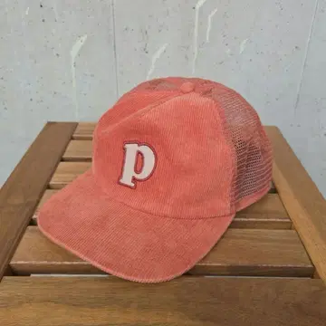 (구제 의류) Patagonia 파타고니아 메쉬 캡 P 로고 코듀로이