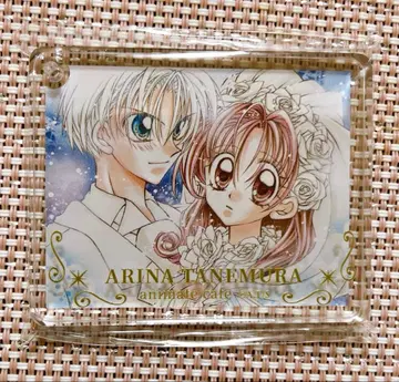 타네무라 아리나 30주년 기념전 아니카페 콜로타 신풍괴도 잔느 치쿠 마롱