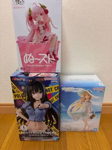 누스트 벚꽃미쿠 코테가와 옆집 천사님