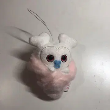 TWICE 다현 다부리 gigo