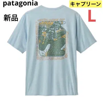 대특가 파타고니아 남성용 캐플린 쿨 데일리 그래픽 완판